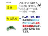 人教版（部编版）初中语文七年级下册  习作：抓住细节   课件