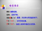 人教版（部编版）初中语文七年级下册  20.外国诗两首 未选择的路   课件