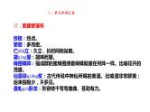 人教版（部编版）初中语文七年级下册  习作：第五单元  复习   课件