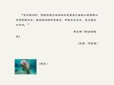 人教版（部编版）初中语文七年级下册  名著导读：《海底两万里》：快速阅读   课件