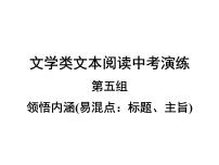 2022年中考语文二轮专题复习：文学类文本阅读中考演练第5组　领悟内涵(易混点：标题、主旨)课件（35张PPT）