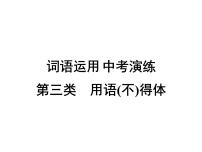 2022年广东省中考总复习词类运用中考演练第3类：用语(不)得体课件（共19张PPT）