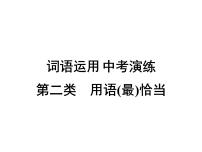 2022年广东省中考总复习词类运用演练第2类：用语(最)恰当课件（共21张PPT）