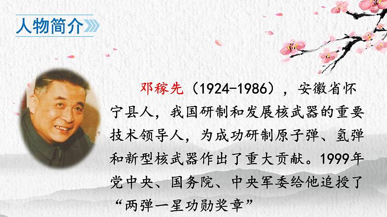 部编版七年级下册第1课《邓稼先》课件PPT05