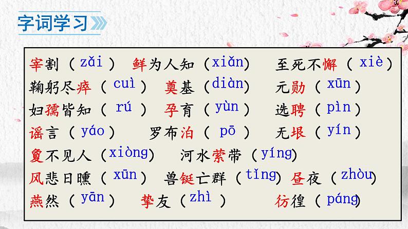 部编版七年级下册第1课《邓稼先》课件PPT08