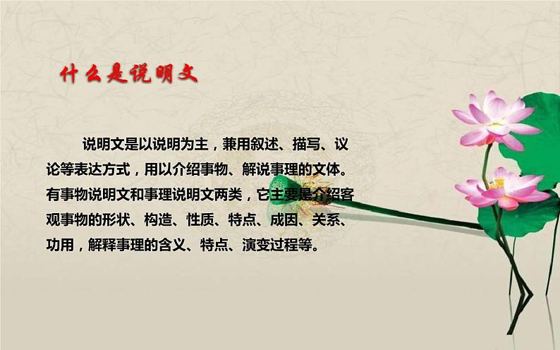 人教版（部编版）初中语文七年级下册  期末复习： 说明的顺序  课件第2页