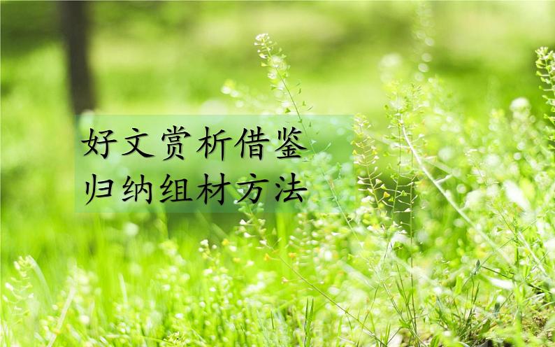 人教版（部编版）初中语文七年级下册  习作：“多事”之人，立体呈现 期末复习  课件第5页