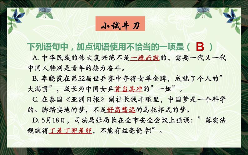 人教版（部编版）初中语文七年级下册  期末复习： ——成语运用  课件第3页