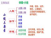 人教部编版八年级语文下册第1课《社戏》精品实用课件