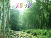 人教部编版八年级语文下册第10课《小石潭记》精品实用课件