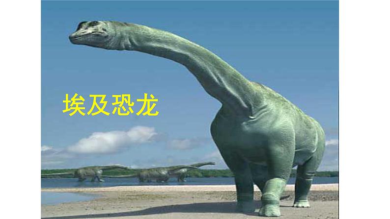 人教部编版八年级语文下册第6课《阿西莫夫短文两篇——恐龙无处不有》精品实用课件04