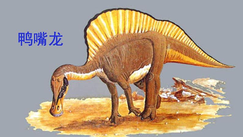 人教部编版八年级语文下册第6课《阿西莫夫短文两篇——恐龙无处不有》精品实用课件06