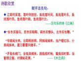 人教部编版八年级语文下册第12课《诗经》二首 《关雎》《蒹葭》精品实用课件
