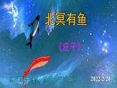 人教部编版八年级语文下册第21课《庄子二则——北冥有鱼》精品实用课件