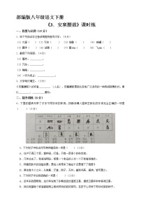 初中语文人教部编版八年级下册安塞腰鼓课时练习