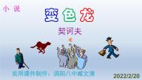 初中语文人教部编版九年级下册6 变色龙精品课件ppt