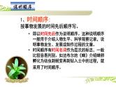 人教版（部编版）初中语文八年级下册 写作：说明的顺序  课件