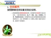 人教版（部编版）初中语文八年级下册 写作：说明的顺序  课件