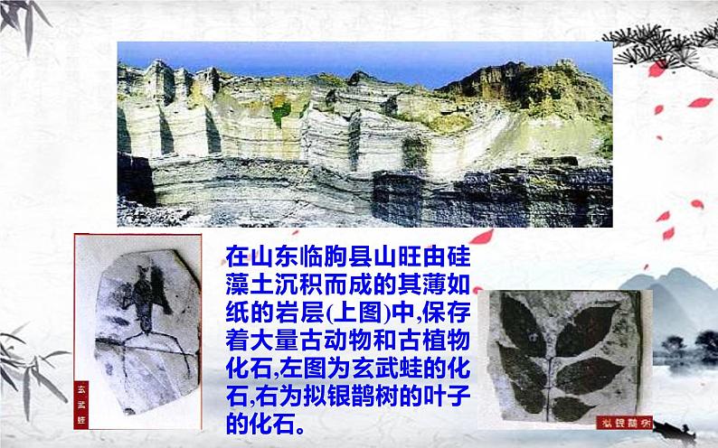 人教版（部编版）初中语文八年级下册  8.时间的脚印  课件02