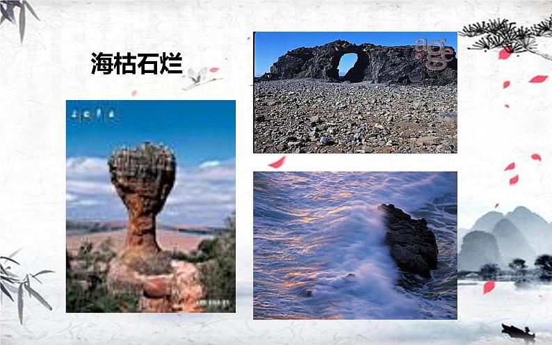 人教版（部编版）初中语文八年级下册  8.时间的脚印  课件04