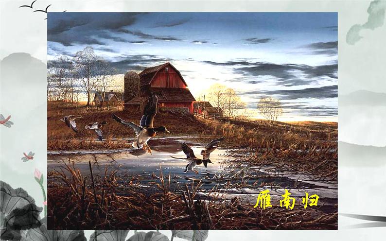 人教版（部编版）初中语文八年级下册  7.大雁归来 课件第7页