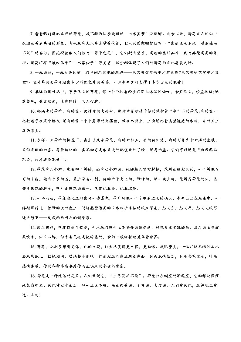 07 荷花-备战2022年中考作文写景优美句子摘抄第2页
