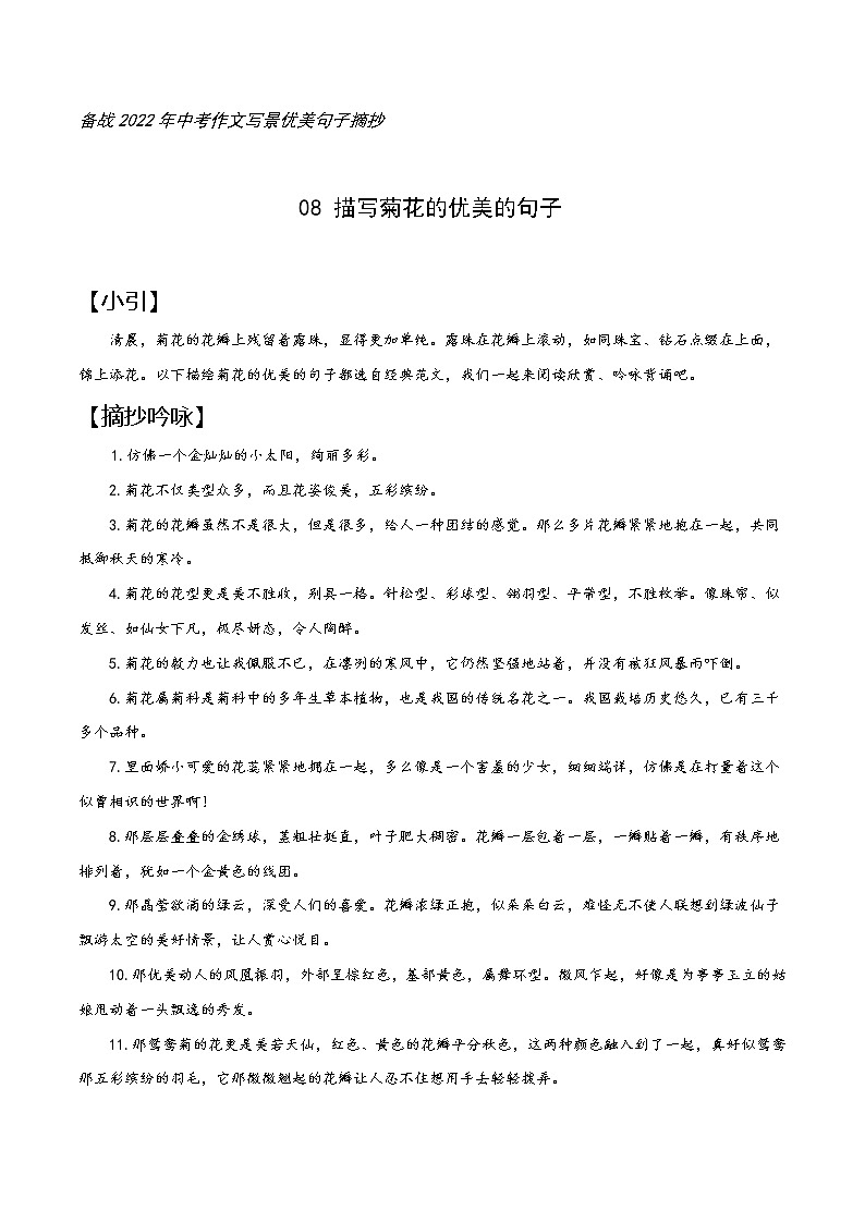 08 菊花-备战2022年中考作文写景优美句子摘抄01