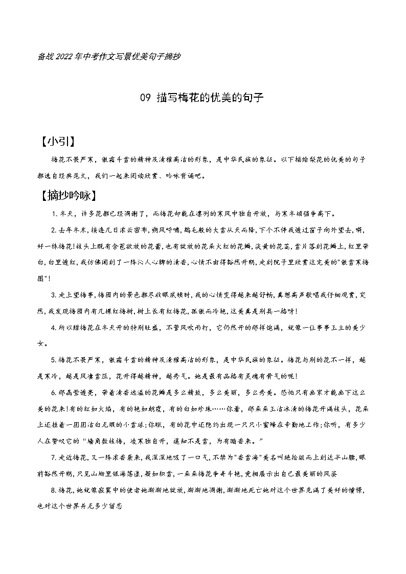 09 梅花-备战2022年中考作文写景优美句子摘抄01