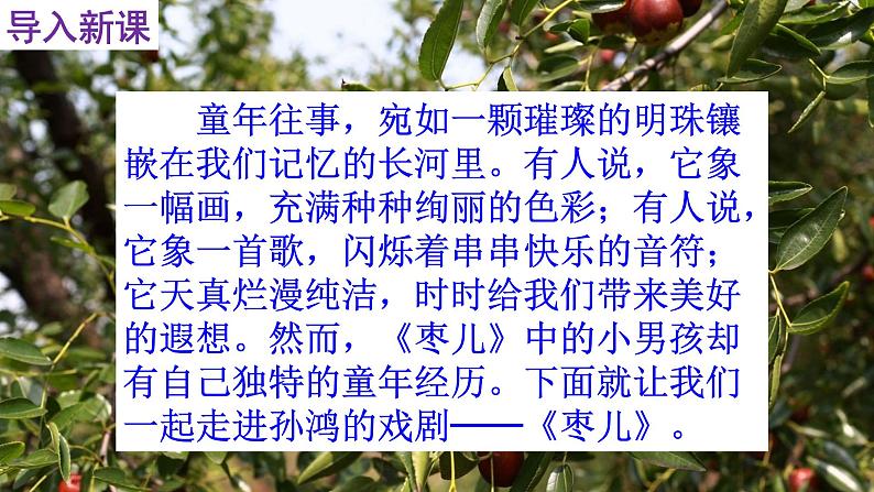 人教部编版九年级语文下册第19课《枣儿》精品实用课件第2页