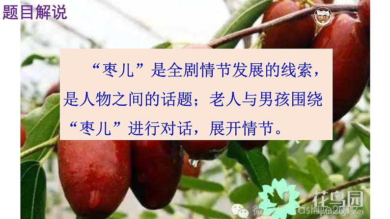 人教部编版九年级语文下册第19课《枣儿》精品实用课件第8页