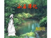人教版（部编版）初中语文八年级下册 10.小石潭记 课件