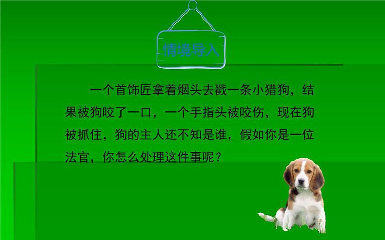 人教版（部编版）初中语文九年级下册  6.变色龙   课件03