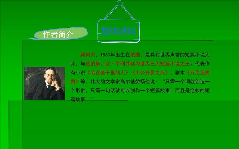 人教版（部编版）初中语文九年级下册  6.变色龙   课件06