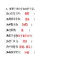 24　河中石兽 讲练课件—贵州省毕节市七年级语文下册部编版