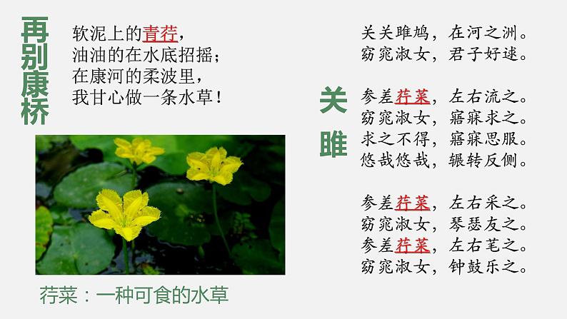 部编版八年级语文下册课件----《关雎》第7页