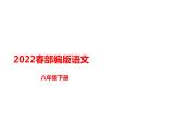 部编版八年级语文下册课件----《蒹葭》