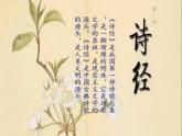 部编版八年级语文下册课件----《蒹葭》