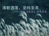 部编版八年级语文下册课件----《蒹葭》