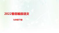 语文九年级下册1 祖国啊，我亲爱的祖国课文内容ppt课件
