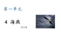 初中语文人教部编版九年级下册4 海燕说课课件ppt