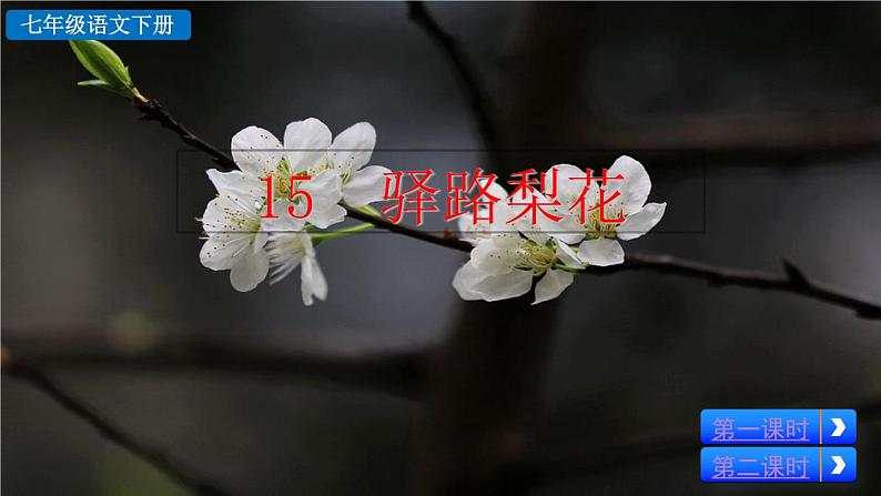 部编版七年级语文下册课件----15 驿路梨花第2页