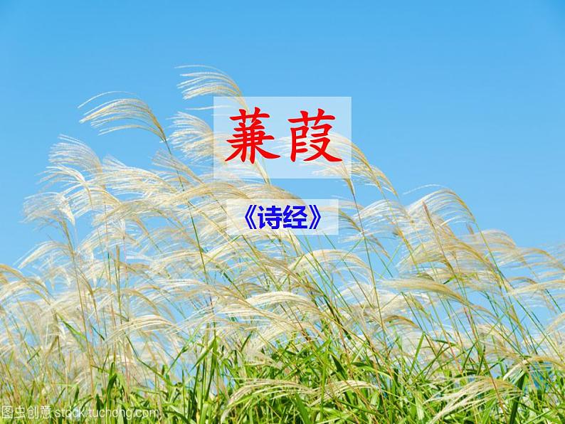 第12课《蒹葭》八年级语文下册同步课件（部编版）03