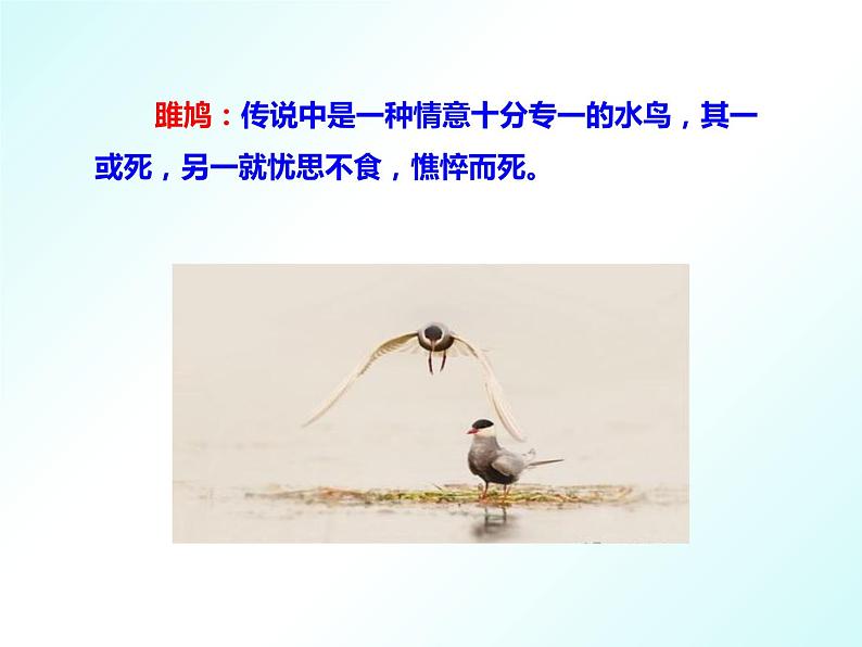 第12课《关雎》八年级语文下册同步课件（部编版）05