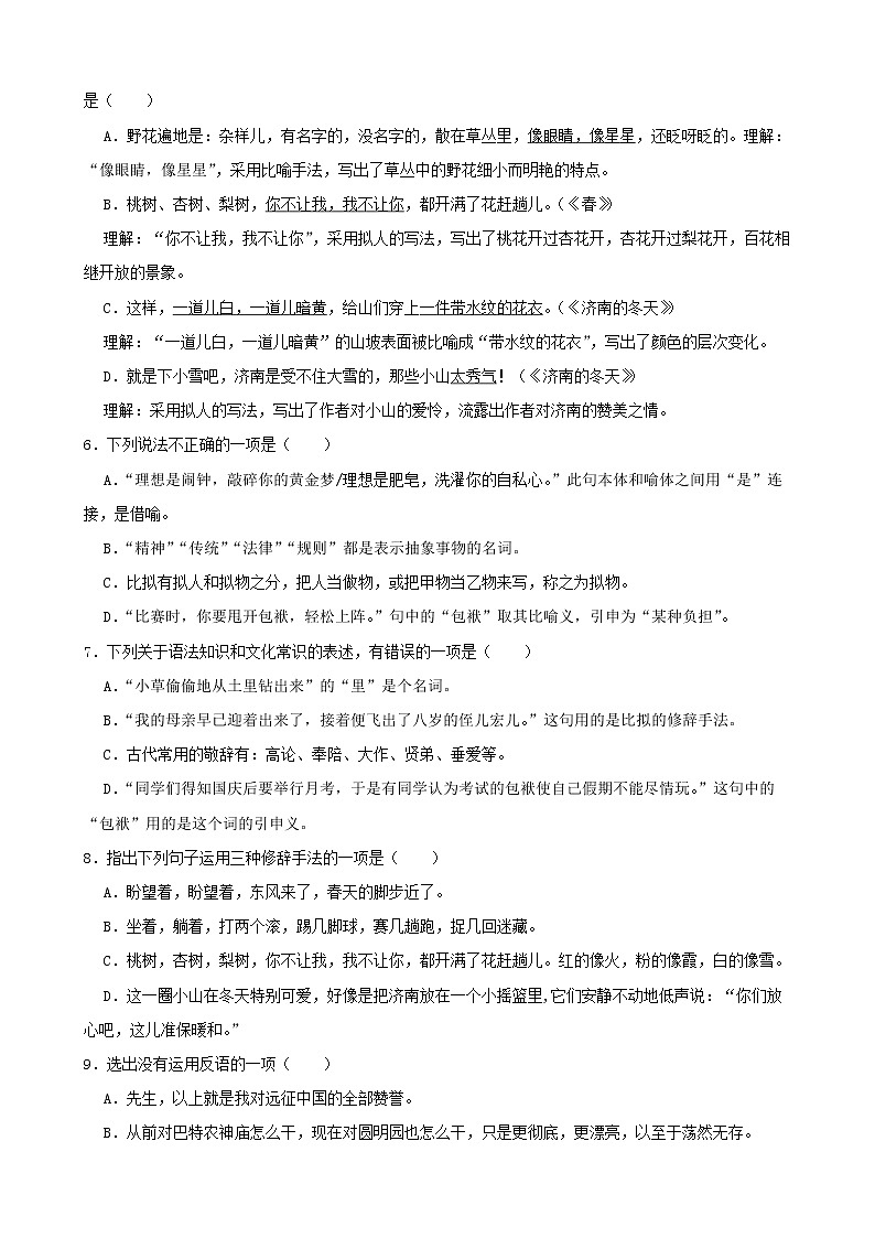 2022年中考语文二轮修辞手法专项复习试题（原卷版）第2页