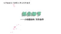 2020-2021学年写作 抓住细节示范课ppt课件