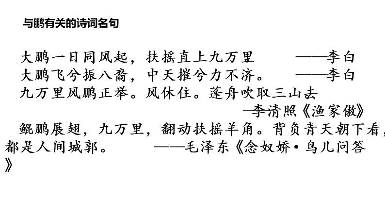 《北冥有鱼》课件（共32张PPT）02