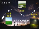 带上她的眼睛 课件（共56张PPT）