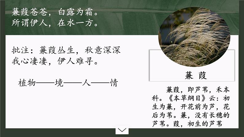 部编版语文八年级下册综合性学习古诗苑漫步 课件（共27张PPT）第6页