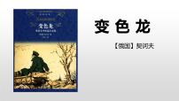 初中语文人教部编版九年级下册6 变色龙教学演示ppt课件