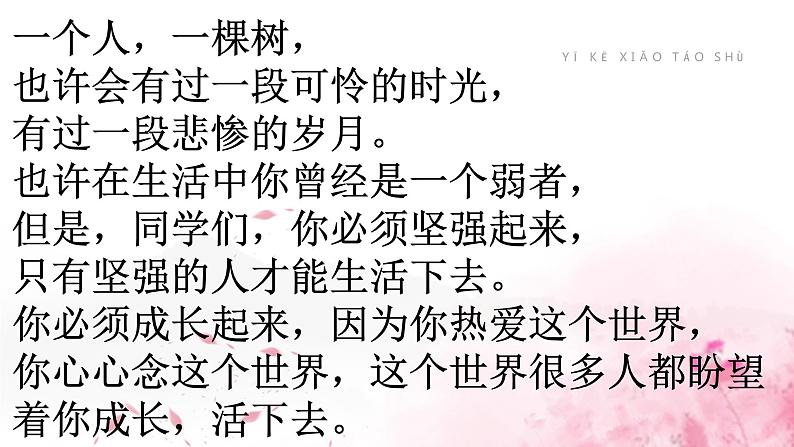 一颗小桃树 课件（共24张PPT）03